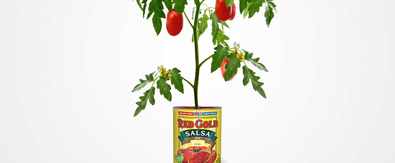 red-gold-food-management-healthcare red-gold-food-management-healthcare
